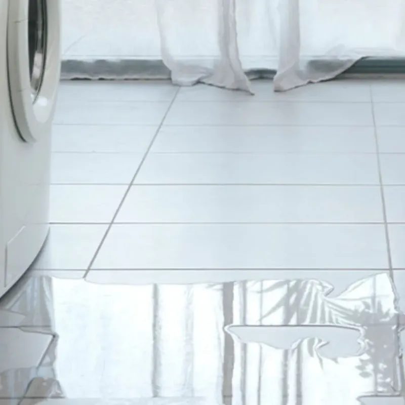 Appliance Leak Cleanup in Pinckney, MI
