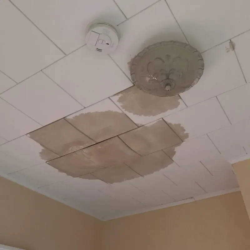 Ceiling Water Damage Repair in Pinckney, MI