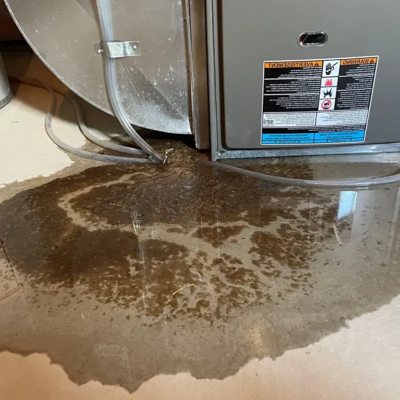 Pipe Burst and Leak Restoration in Pinckney, MI