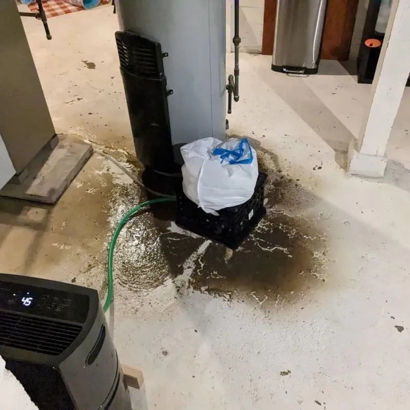 Sewage Backup Cleanup Service in Pinckney, MI